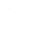 boom bot icon